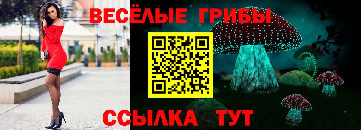 наркота  Псилоцибиновые грибы ЛСД  Вход с VPN  Заринск 